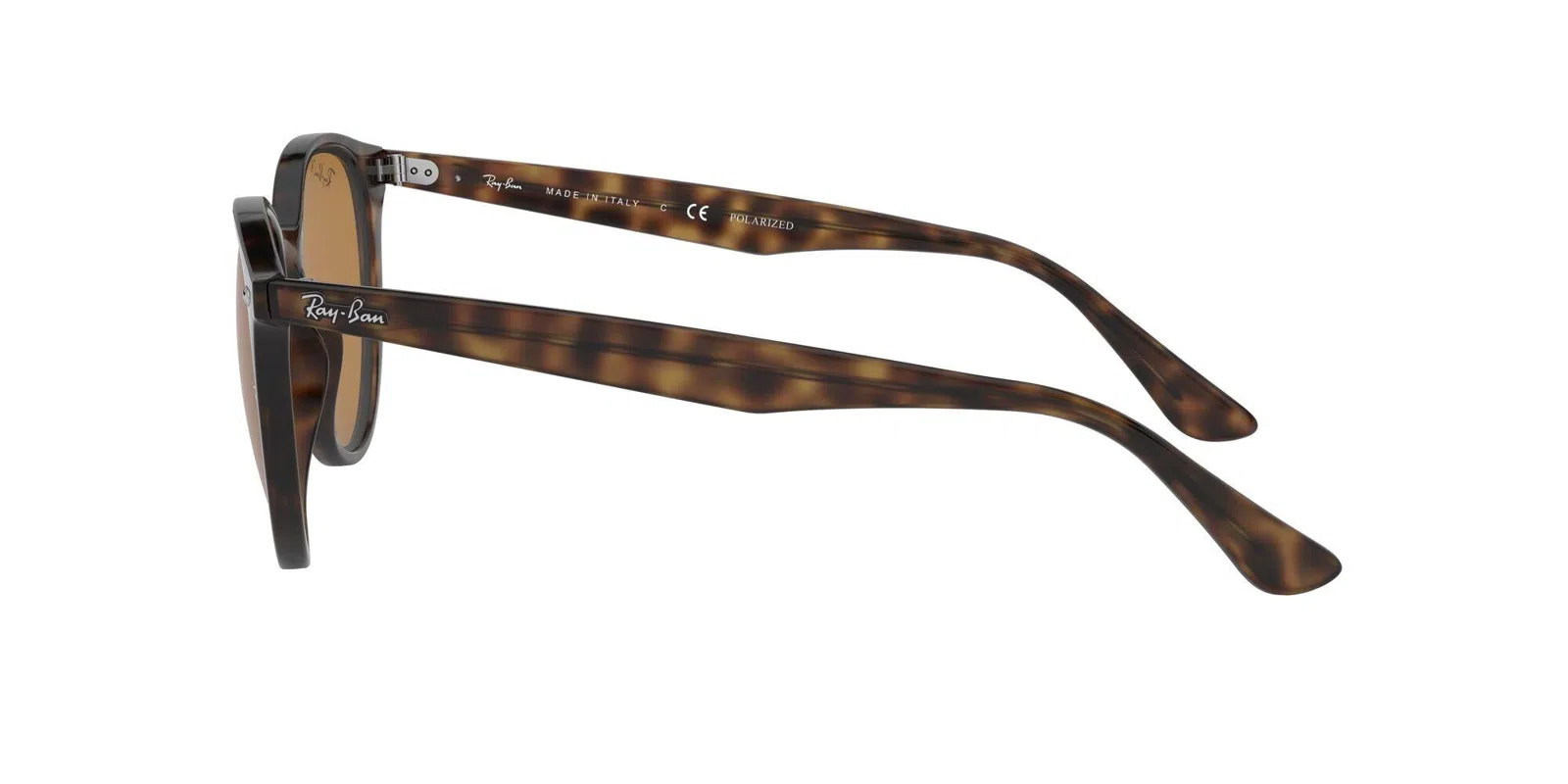Ray-Ban 4305 Sunglasses - view 14